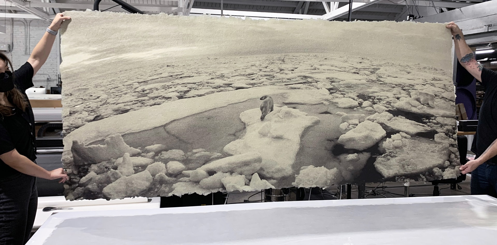 Widelux Photo by Zana Briski of a polar bear on ice floes.